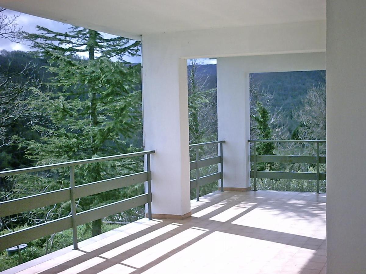 B&B Hollywood Olivadi Екстер'єр фото